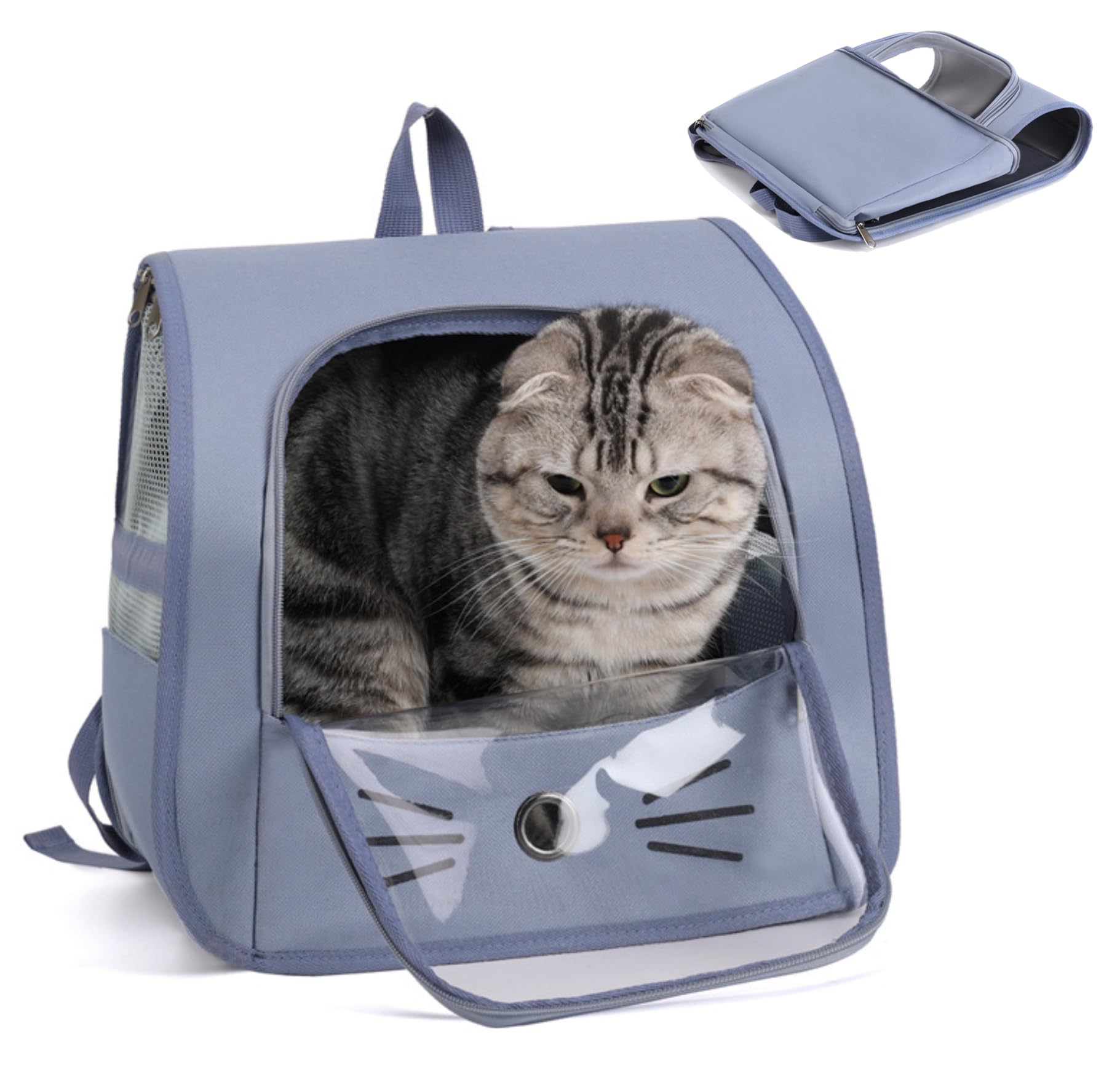 Amazon | FTBOL ペット キャリー リュック 猫 小型犬 ペット 猫
